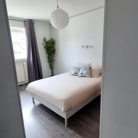 Apartment Spacieux & Paisible Meythet